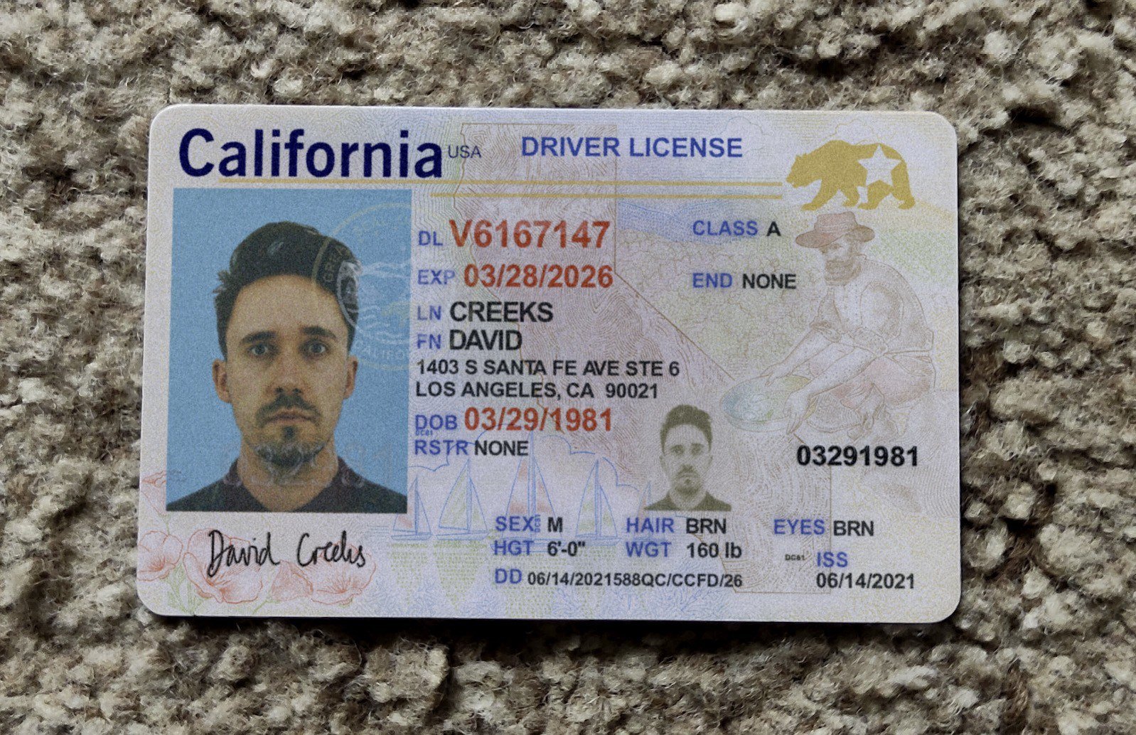 Fake driver's license photo