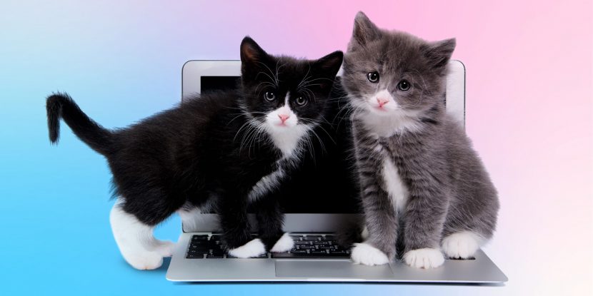 Remote working safety and security