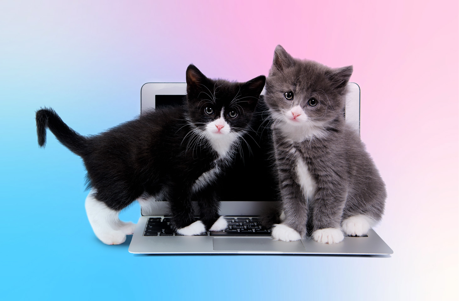 Remote working safety and security